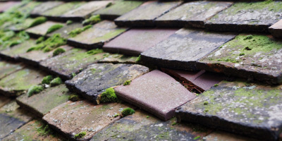 Raby Mere roof repair costs